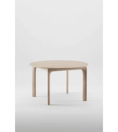 Mesa Extensible Fin Round - Artisan