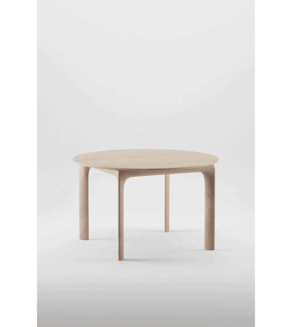 Mesa Extensible Fin Round - Artisan