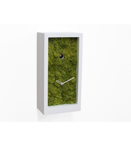 Cuckoo Wall Clock Amazon Progetti