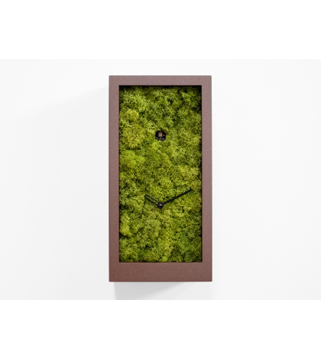 Reloj De Pared De Cuco Amazon Progetti
