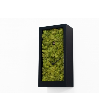 Reloj De Pared De Cuco Amazon Progetti 2