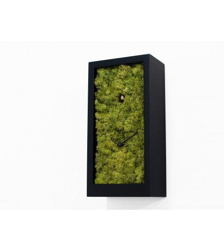 ?Horloge Murale Coucou Amazon Progetti