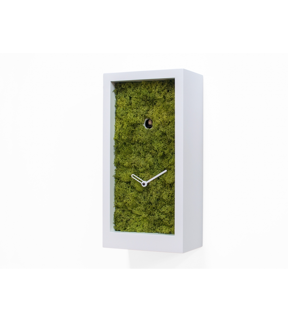 ?Horloge Murale Coucou Amazon Progetti