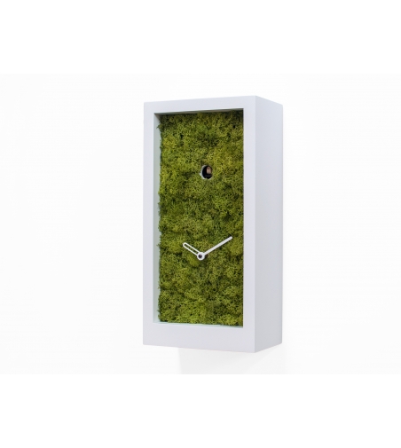 Cuckoo Wall Clock Amazon Progetti