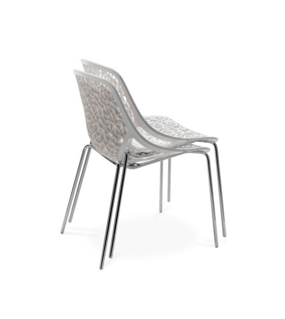 Casprini: Chair New Collection Caprice Tube