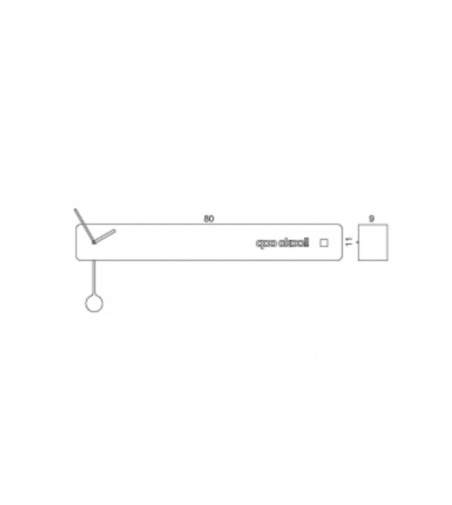 Progetti - Q02 Cuckoo Wall Clock with Pendulum
