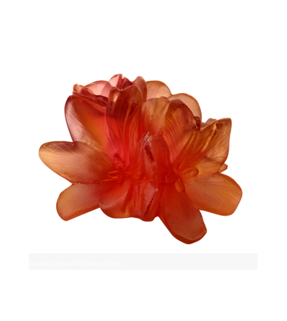 Kleine dekorative Blume Safran Daum