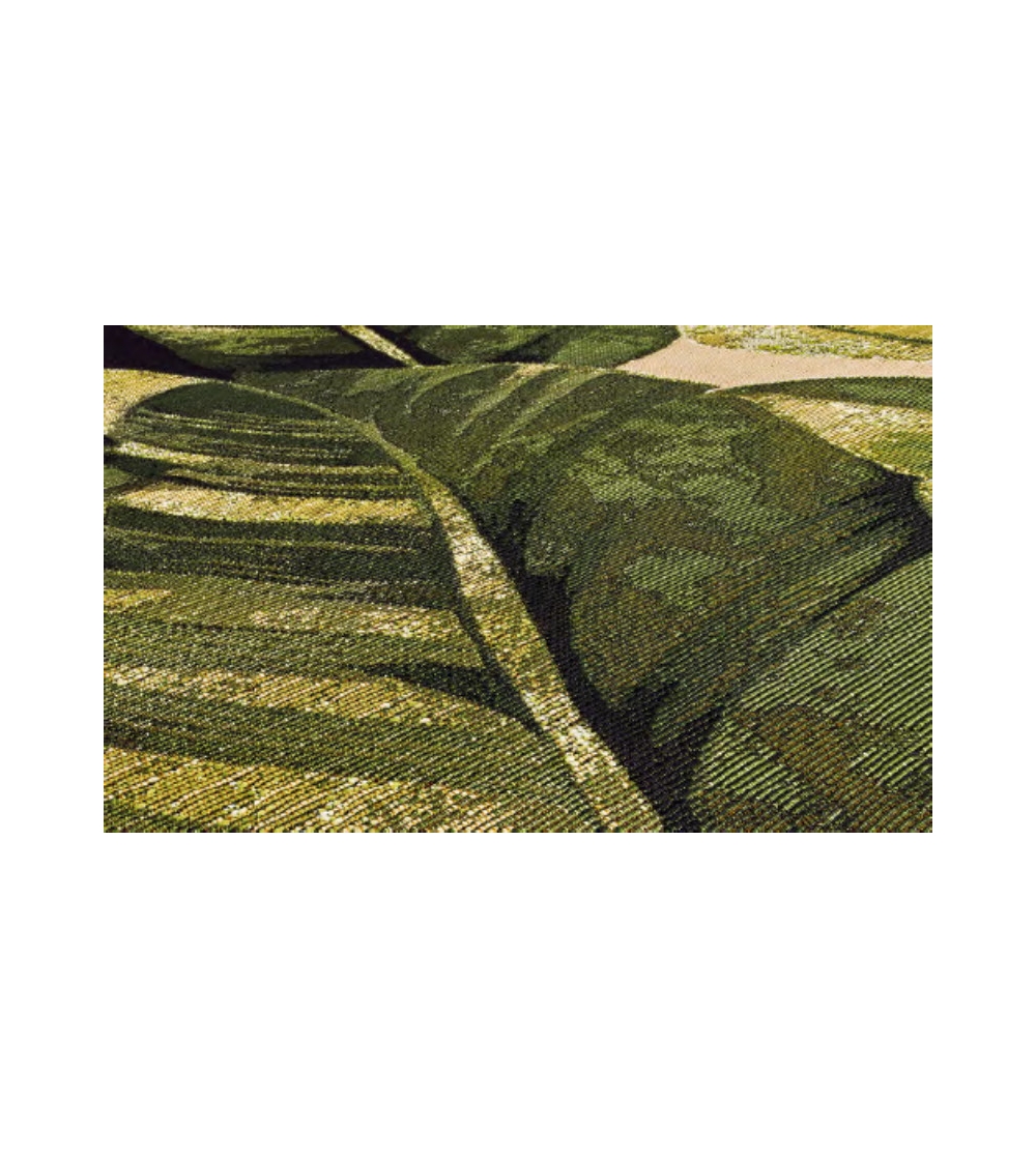 Tapis Amazzonia 609X Sitap