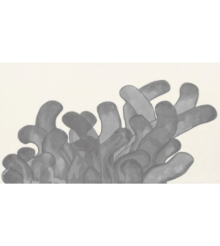 Anemone Teppich von La Chance