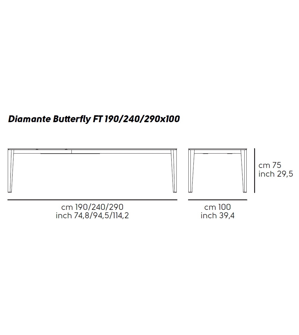 Mesa Diamante Butterfly - Midj