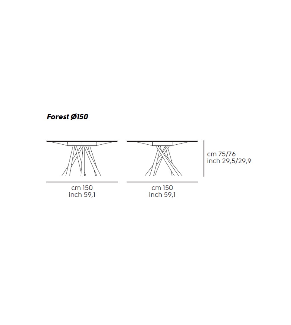 Table Forest Midj