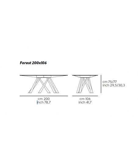 Fixed Table Forest Midj