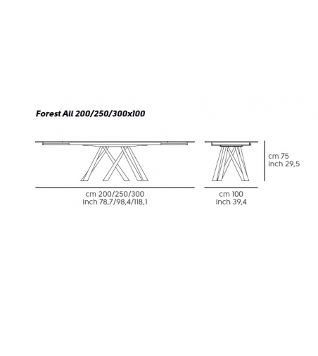 Mesa Extensible Forest Midj