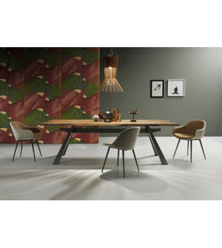Table Zeus - Midj