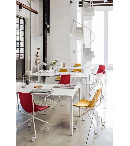 Silla Apelle D Midj