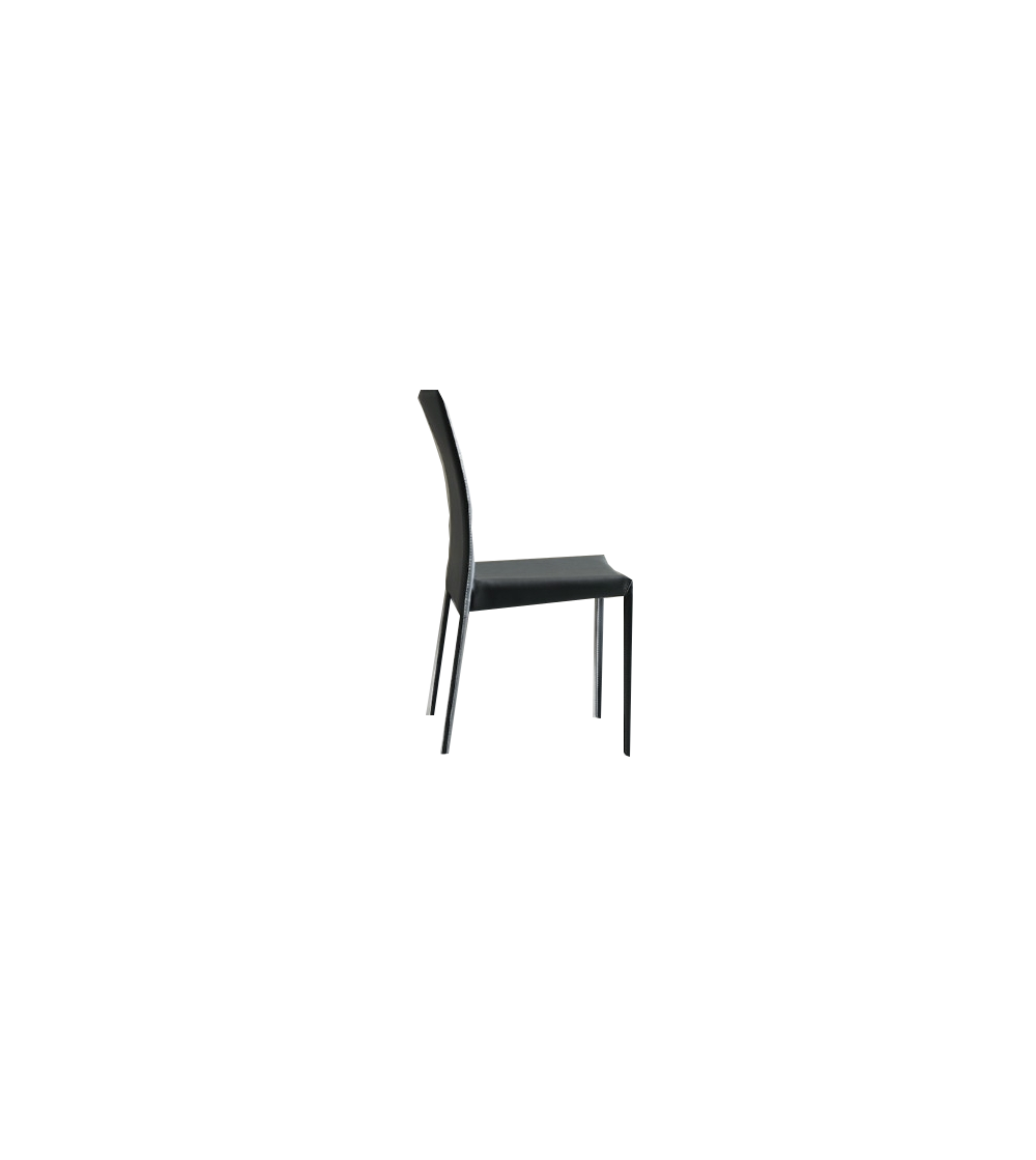 La Seggiola Silla Venus