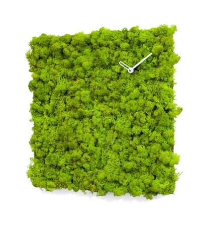 Reloj De Pared  Clock_Circle 2177 Progetti