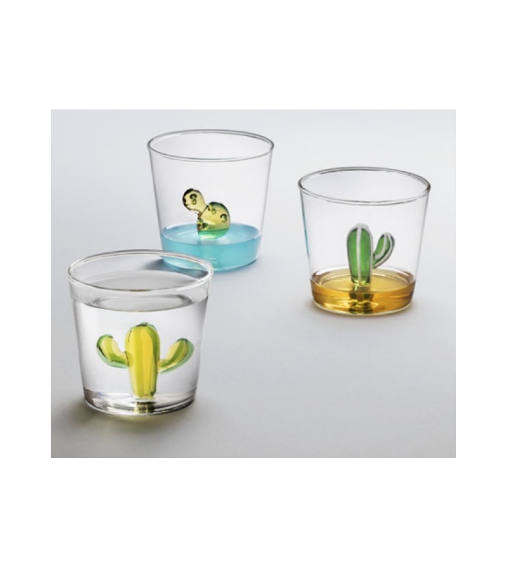 Vaso Cactus Desert Plants - Ichendorf