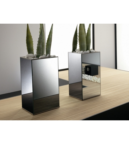 Tonelli Design Vaso Lingo