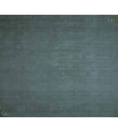 Brand Daytona Carpet