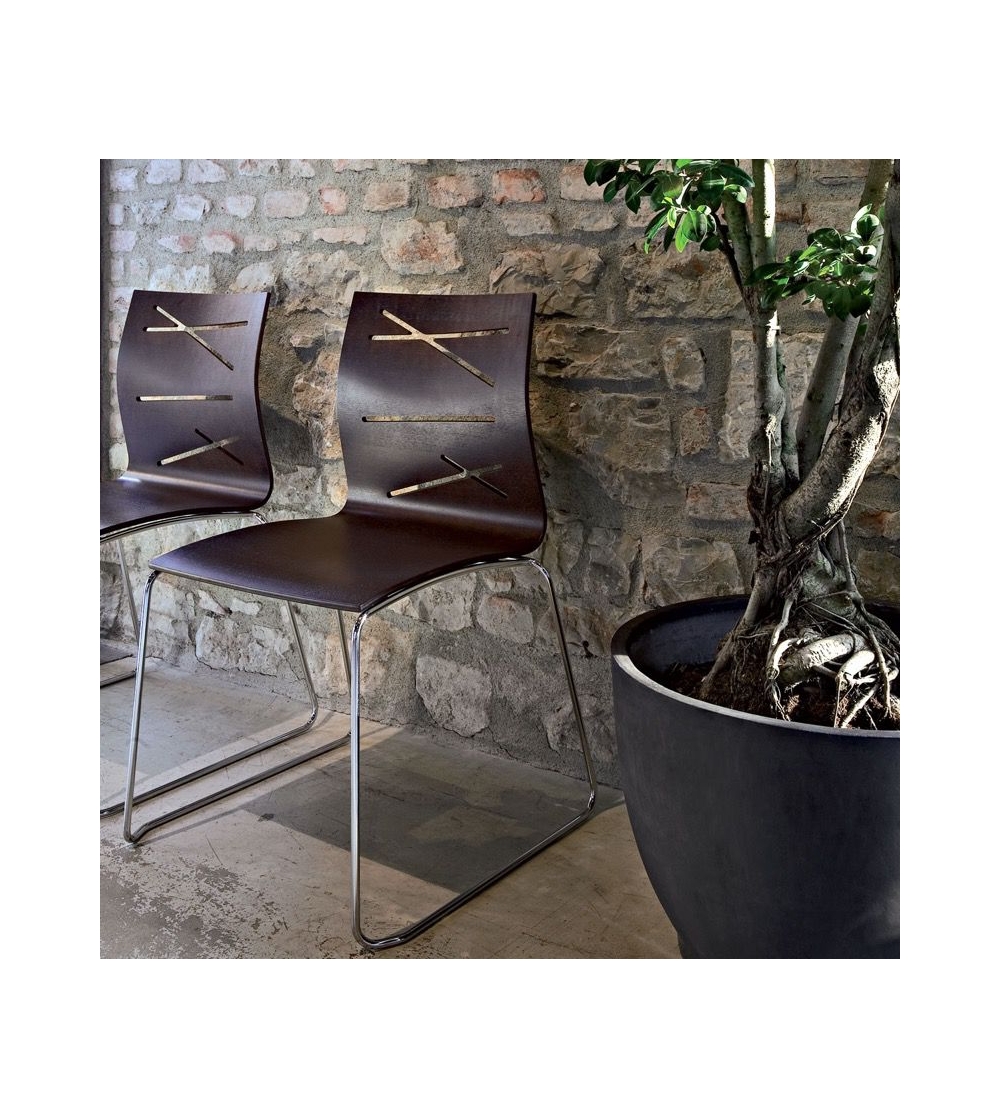 Silla Todd 1040 - Alma Design