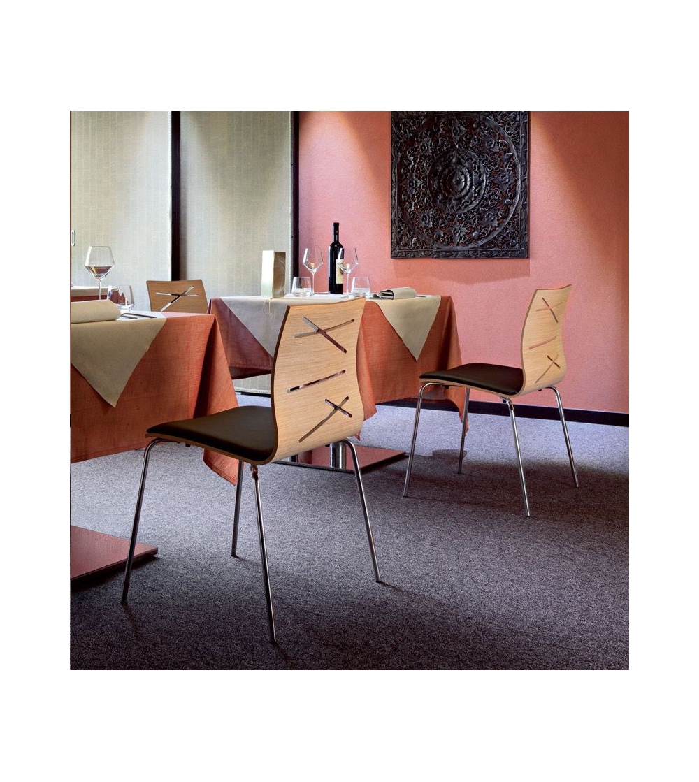 Silla Todd 1041 Con Cojín - Alma Design
