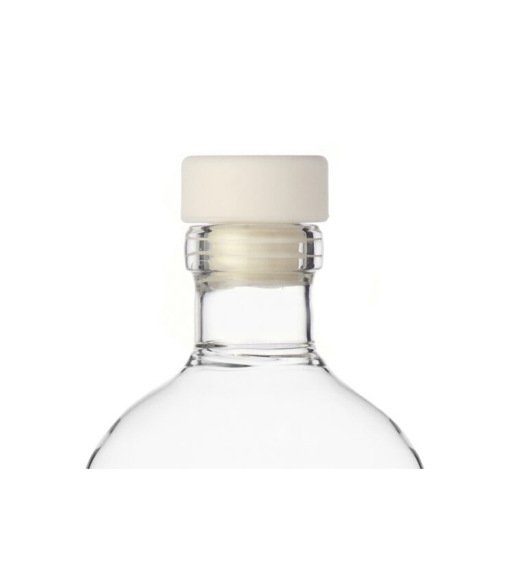 Bottiglia vetro borosilicato con animali - Carpe Diem