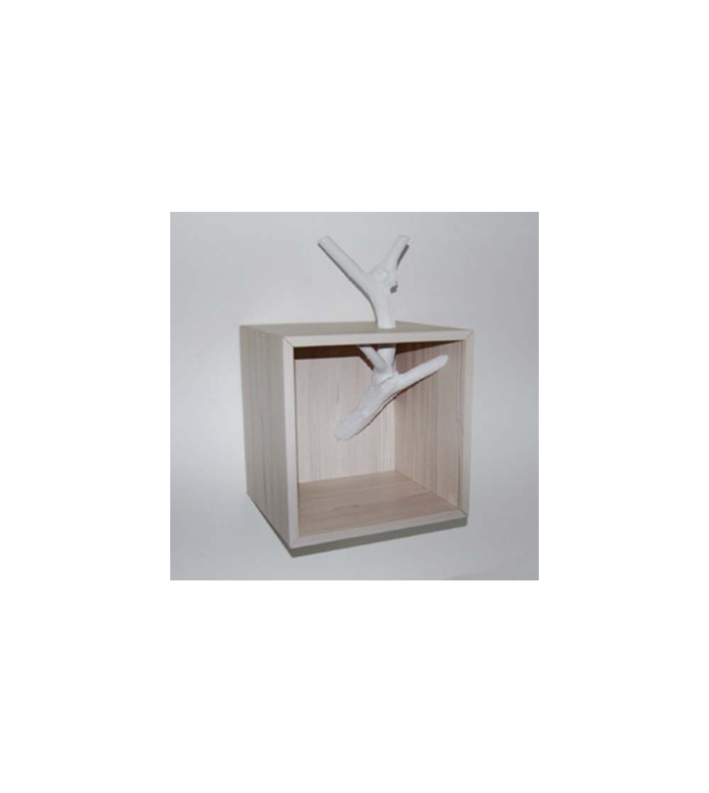 Antartidee Coffee Table Cube Branch