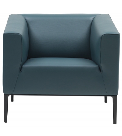 De Sede - DS-161 Sessel
