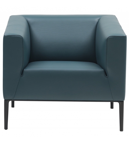 Poltrona DS-161 - De Sede