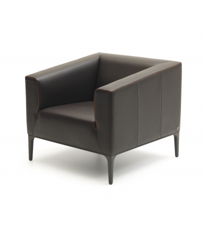 Poltrona DS-161 - De Sede 2