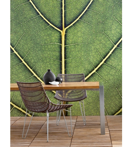 Silla Infinity - Il Giardino Di Legno