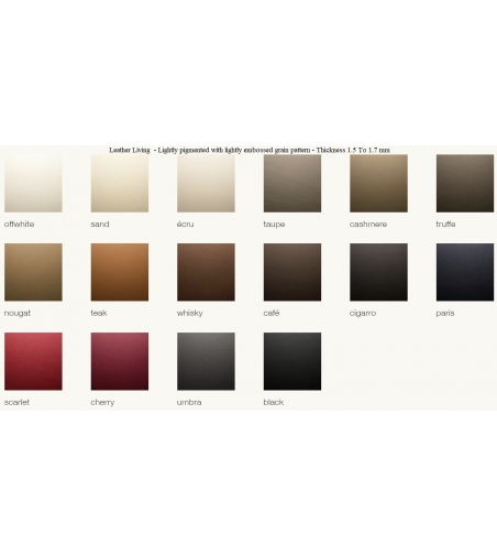 De Sede - Sofa DS-31