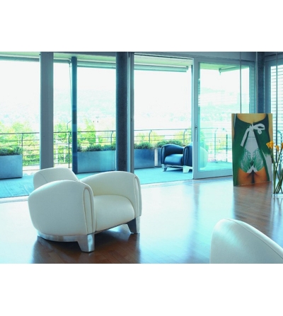Fauteuil DS-57 - De Sede 2