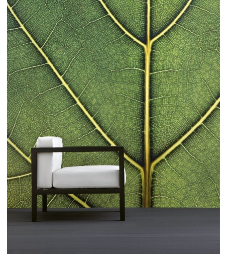 Lui & Lei Armchair - Il Giardino Di Legno