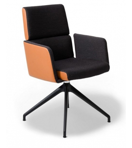Chaise De Bureau DS-414 Avec Accoudoirs - De Sede
