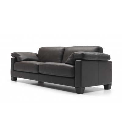 De Sede - DS-17 Sofa 2