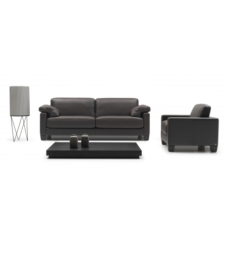 De Sede - Sessel DS-17