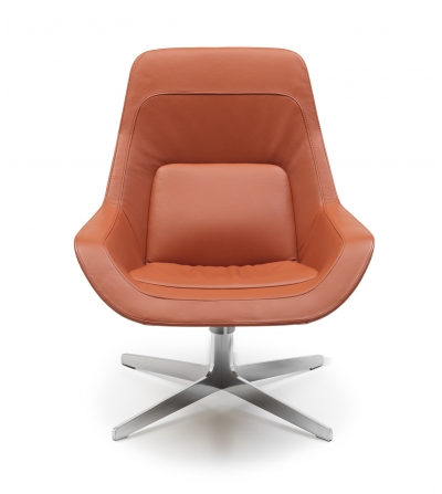 De Sede - Sessel DS-144/01 2