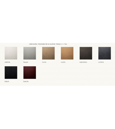 Poltrona DS-291/101 - De Sede
