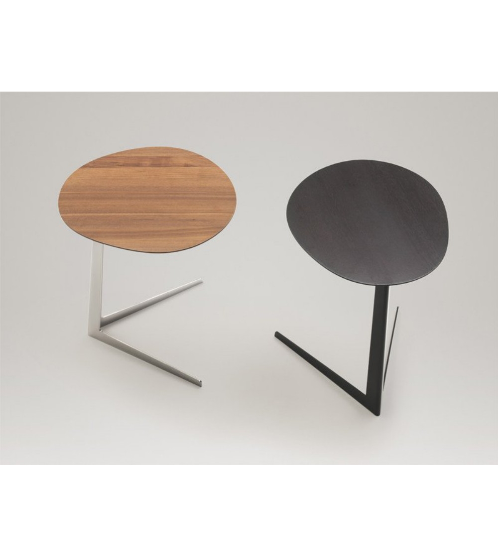 Table Basse DS-196 - De Sede