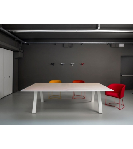 Tavolo Da Ping Pong Grasshopper - Fas Pendezza