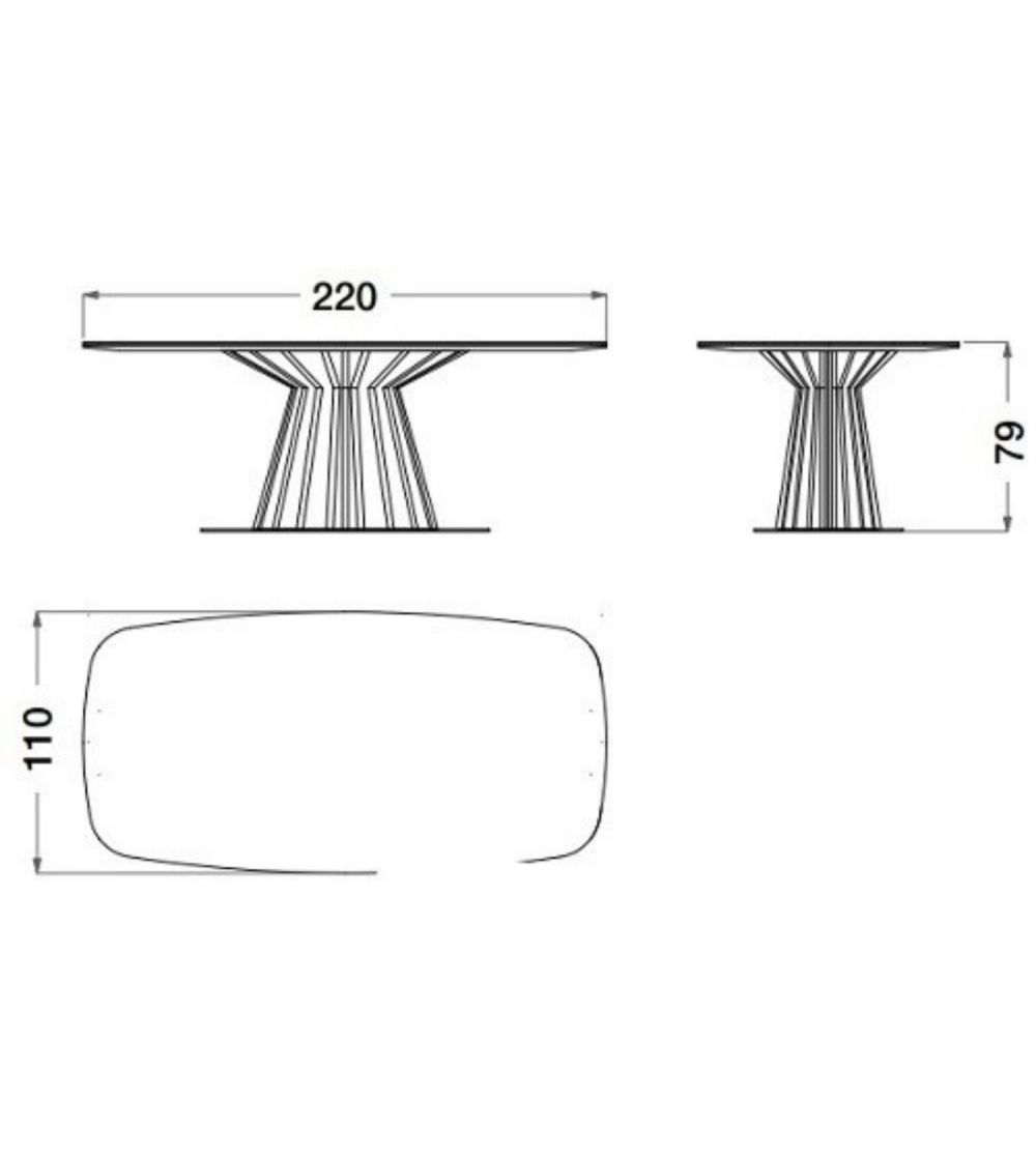 Rechteckiger Tisch Dragonfly - CPRN...