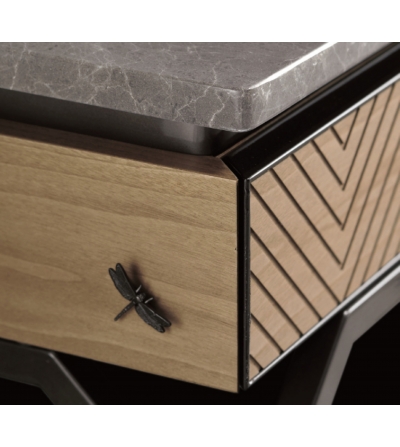 Console Dragonfly - CPRN HOMOOD 2
