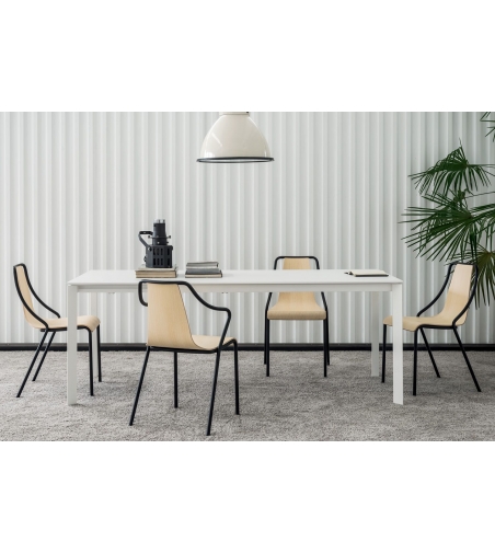 Chaise pour Restaurant Ola Midj