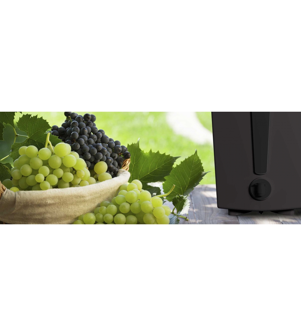 IlBox Contenitore Per Vino - Martino...