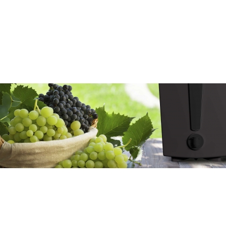 IlBox Contenedor Para Vino - Martino & Co