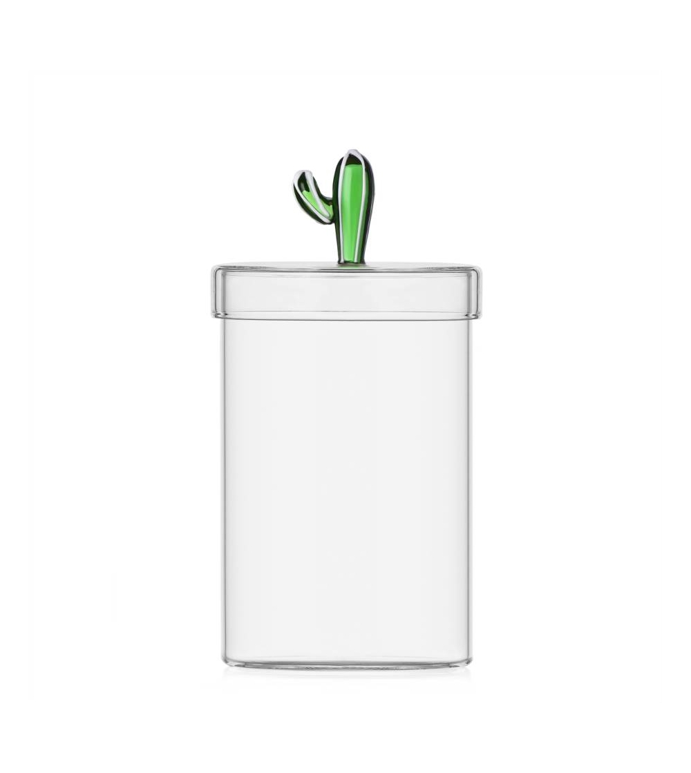 Caja Cactus Verde Desert Plants - Ichendorf