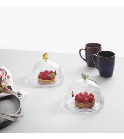 Dome Butterfly Moon Garden Picnic - Ichendorf 2