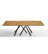 Fixed Table Forest Midj